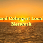 Digitized Coherent Local Area Network