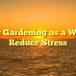 Title: Gardening as a Way to Reduce Stress